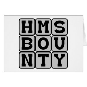 HMS Bounty, Literary Ship