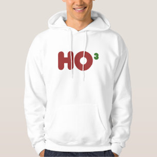 Ho 3 Nerdy funny christmas Hoodie