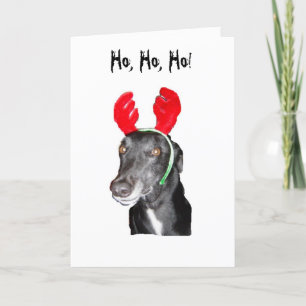 Ho Ho Ho! Antlers Holiday Card