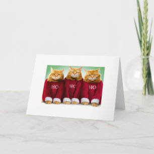 Ho Ho Ho Cat Xmas Card