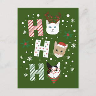 Ho Ho Ho Cats Merry Christmas Holiday Postcard