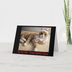 Ho Ho Ho! from Santa Claws Holiday Card