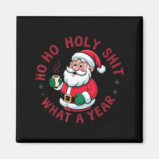 Ho Ho Ho Holy What A Year Funny Santa Christmas Pa Magnet (Front)
