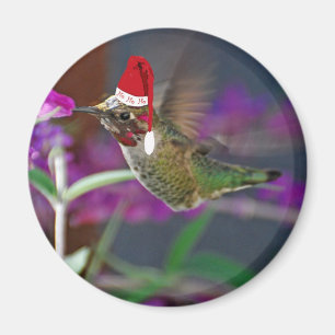 Ho Ho Ho Hummingbird Magnet