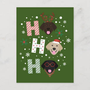 Ho Ho Ho Labrador Retriever Merry Christmas Holiday Postcard