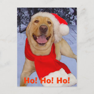 Ho! Ho! Ho! Postcard