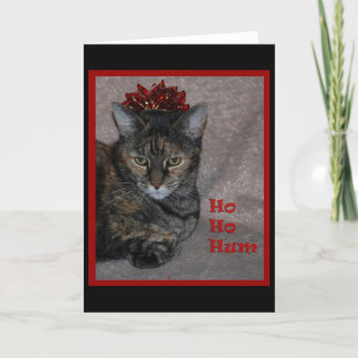 Ho Ho Hum Cat Holiday Card