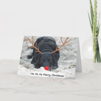 Ho Ho Merry Xmas Holiday Card