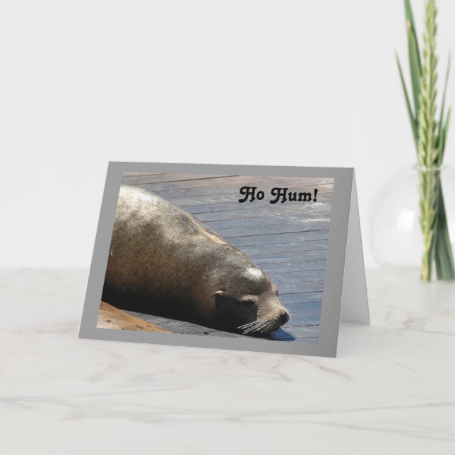 HO HUM! DON'T BE SAD 50th BIRTHDAY Card (Front)