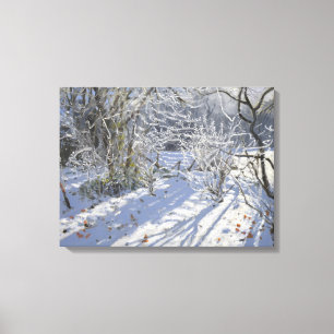 Hoar frost Markeaton Derby.UK.2012 Canvas Print