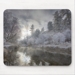 Hoarfrost along a slough at the Kelly Island Mouse Mat