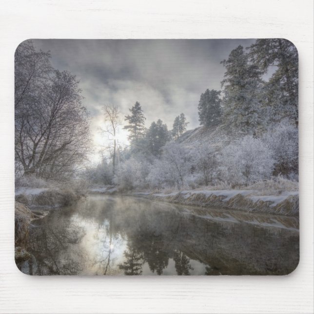 Hoarfrost along a slough at the Kelly Island Mouse Mat (Front)