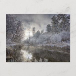 Hoarfrost along a slough at the Kelly Island Postcard