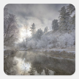 Hoarfrost along a slough at the Kelly Island Square Sticker