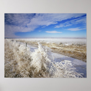 Hoarfrost coats tumbleweed and fenceline near poster