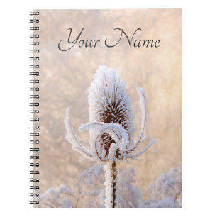 Hoarfrost Teasels Winter Photo Scenic Nature Name Notebook