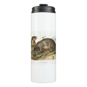 Hoary Marmot Camping Deco Gifts Thermal Tumbler