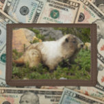 Hoary Marmot Wildlife Photo Tri-fold Wallet<br><div class="desc">For nature fans! Secure money and credit cards with this wallet that features the photo image of a Hoary Marmot. Select your wallet colour.</div>