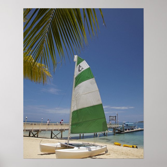 Hobie Cat, Plantation Island Resort Poster (Front)
