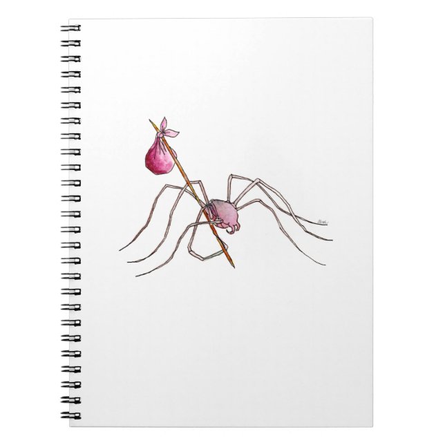 Hobo Spider notebook (Front)