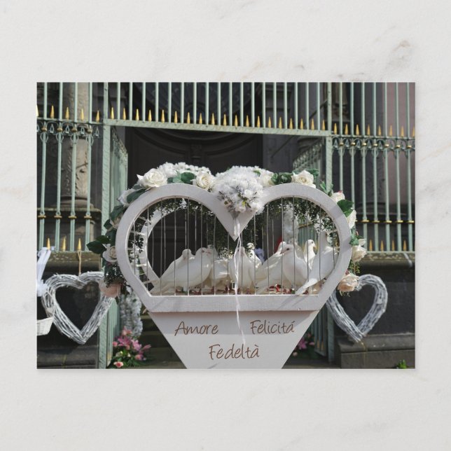 Hochzeits Tauben warten auf das Brautpaar Postcard (Front)