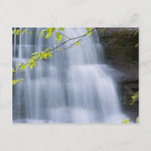 Hocking Hills Waterfall Postcard