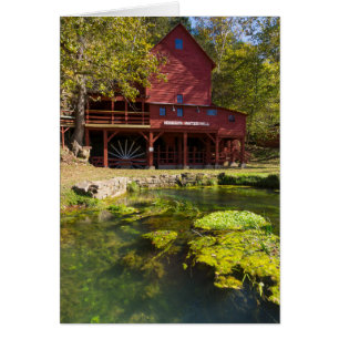 Hodgson Mill