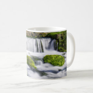 Hodgson Spring Falls Coffee Mug