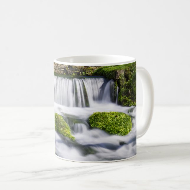 Hodgson Spring Falls Coffee Mug (Front Right)