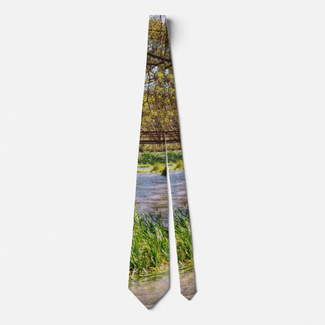 Hodgson Spring Flow Neck Tie (Front)