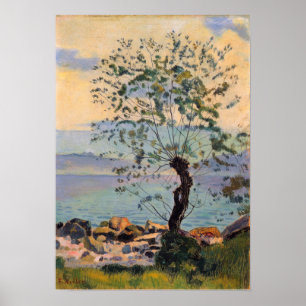 Hodler - Meadow 1890 Poster