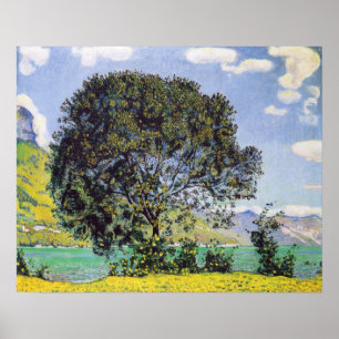 Hodler - Tree At Brienzersee 1906 Poster