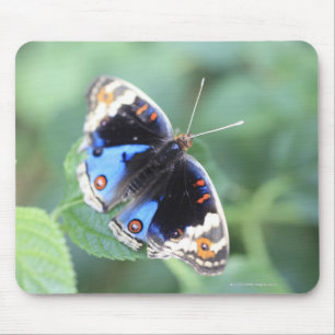 Hodokubo, Hino, Tokyo, Japan 4 Mouse Mat