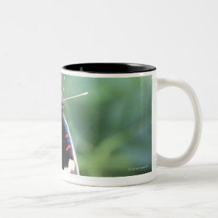 Hodokubo, Hino, Tokyo, Japan 4 Two-Tone Coffee Mug