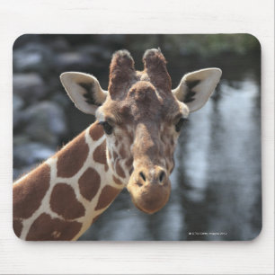 Hodokubo, Hino, Tokyo, Japan 6 Mouse Mat