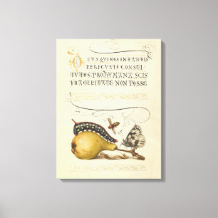 Hoefnagel Vintage Pear & Insects 1500s Renaissance Canvas Print