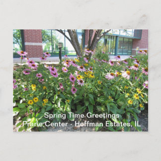 Hoffman Estates, Illinois Prarie Centre Greeting P Postcard