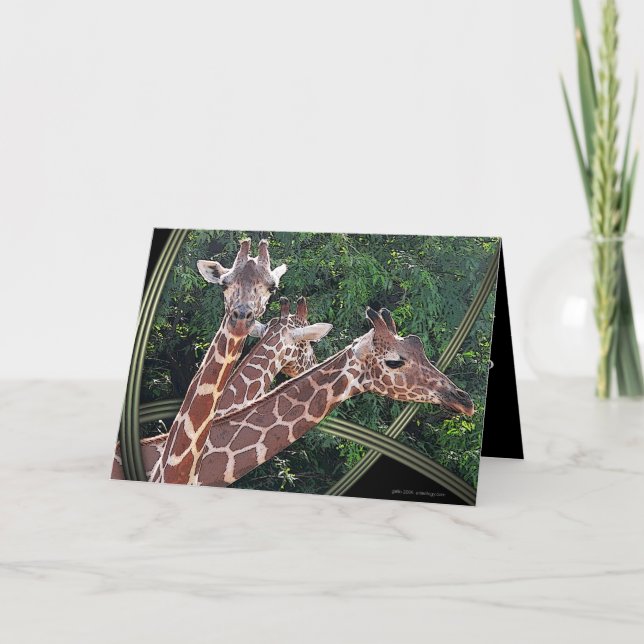 Hoffmans Hawaii Card (Front)