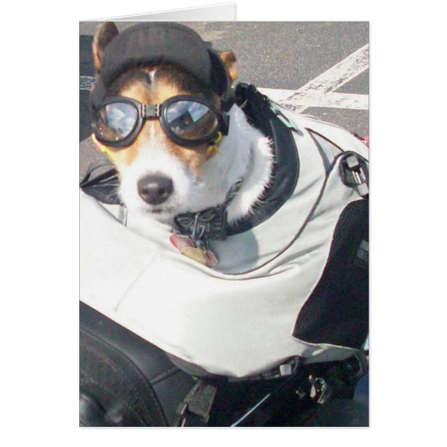 Hog Dog (Front)