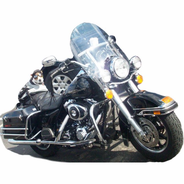 Hog Dog Standing Photo Sculpture (Front)