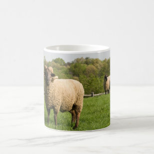 Hog Island Sheep Coffee Mug