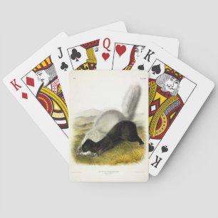 Hog-nosed Skunk (Texan Skunk) Audubon's Quadrupeds Playing Cards