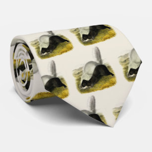 Hog-nosed Skunk (Texan Skunk) Audubon's Quadrupeds Tie