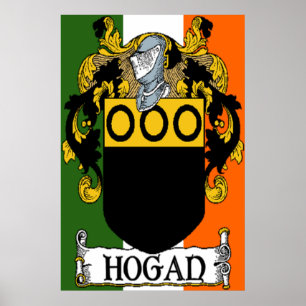 Hogan Coat of Arms Irish Flag Print