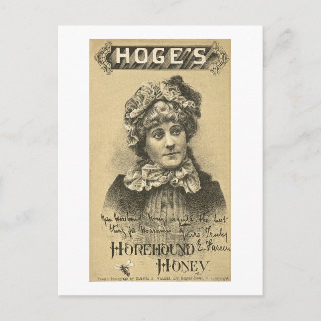 Hoges Horehound Honey Ad Vintage 1879 Postcard (Front)