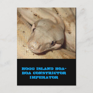 Hogg island boa postcard
