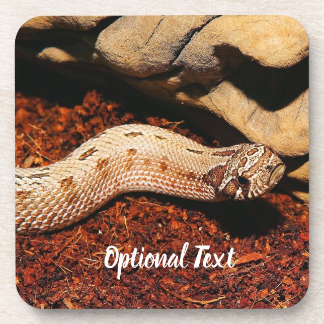 Hognose Pet Snake Coaster (Front)