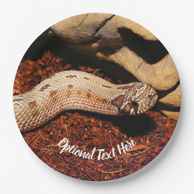 Hognose Pet Snake Paper Plate (Front)