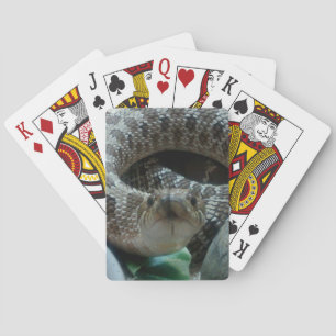 Hognose Playing Cards