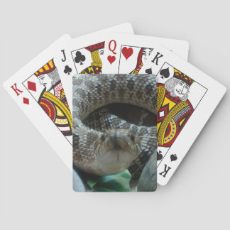 Hognose Playing Cards